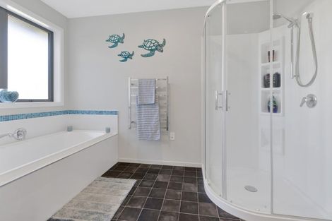 Photo of property in 114 Purchas Road, Glasnevin, Amberley, 7482