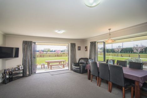 Photo of property in 614 Seadown Road, Seadown, Timaru, 7973