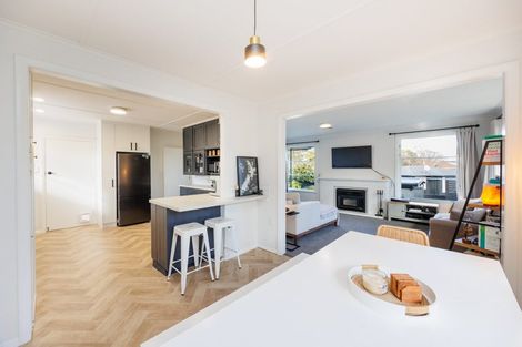 Photo of property in 1 Salisbury Avenue, Terrace End, Palmerston North, 4410