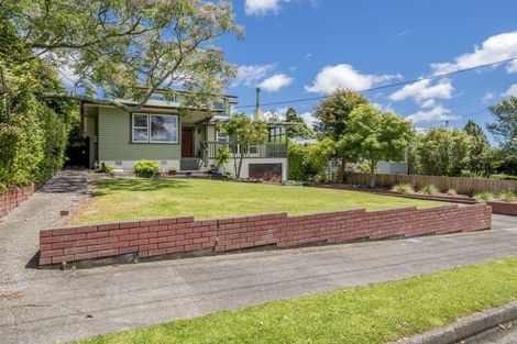 Photo of property in 31 Chester Street, Levin, 5510