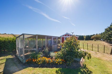 Photo of property in 192a Awahuri Feilding Road, Feilding, 4775
