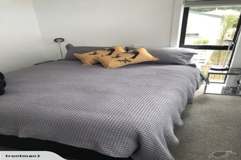 Photo of property in 82d Wallace Street, Mount Cook, Wellington, 6021