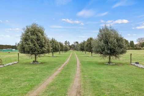 Photo of property in 161 Mckays Road, West Melton, Christchurch, 7671