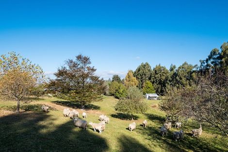 Photo of property in 256 Tirohanga Road, North Taieri, Mosgiel, 9092