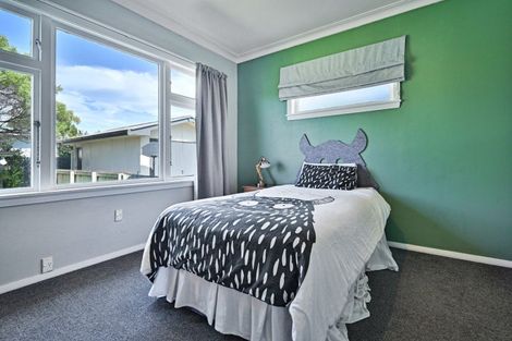 Photo of property in 700 Frederick Street, Mahora, Hastings, 4120