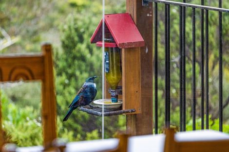 Photo of property in 4 Clayden Drive, Gulf Harbour, Whangaparaoa, 0930