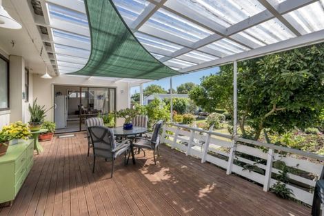 Photo of property in 52 Trafalgar Street, Levin, 5510