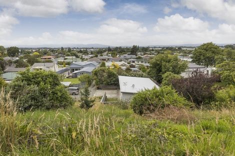 Photo of property in 56a Glasgow Terrace, Feilding, 4702