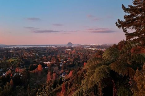 Photo of property in 86a Te Puna Quarry Road, Minden, 3179