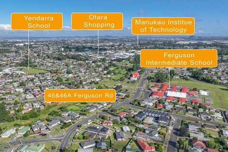 Photo of property in 46 Ferguson Road, Otara, Auckland, 2023