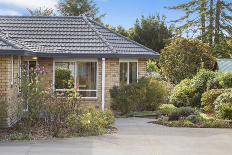 Photo of property in 20 Verona Place, Stratford, 4332