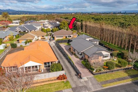 Photo of property in 101 Plateau Heights, Mount Maunganui, 3116