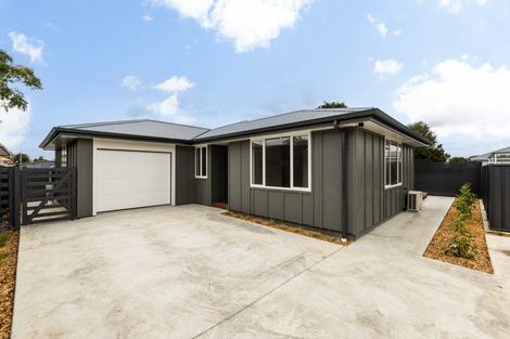 Photo of property in 800a Puriri Street, Raureka, Hastings, 4120