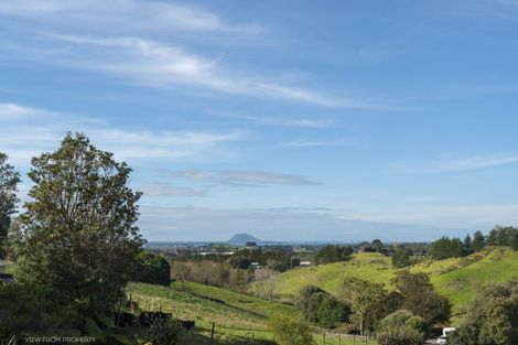 Photo of property in 371 Esdaile Road, Whakamarama, Tauranga, 3180