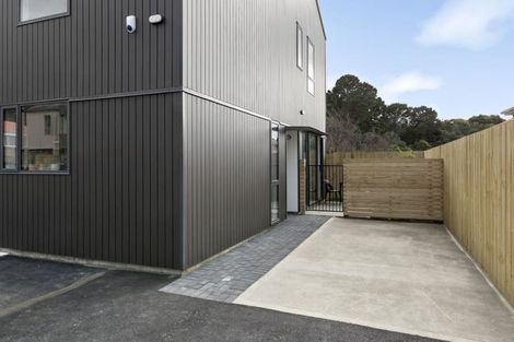 Photo of property in 11/124u Britomart Street, Berhampore, Wellington, 6023