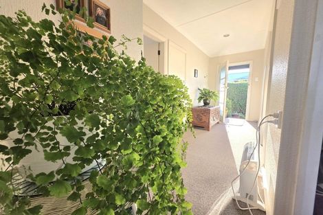 Photo of property in 8 Kelvin Street, South Hill, Oamaru, 9400