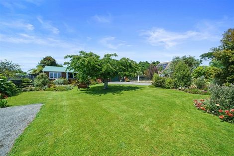 Photo of property in 170 Tiro Tiro Road, Levin, 5510