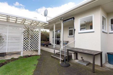 Photo of property in 29 Guy Street, Dannevirke, 4930