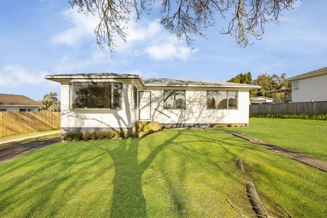Photo of property in 17 Castleton Street, Birkdale, Auckland, 0626