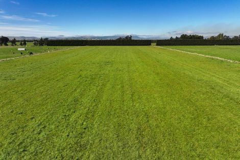 Photo of property in 85 George Street, Edendale, 9825
