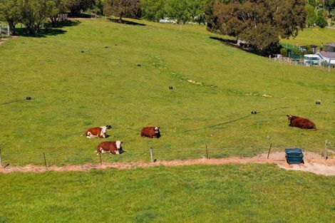 Photo of property in 1519 Marama Road, Seddon, 7285