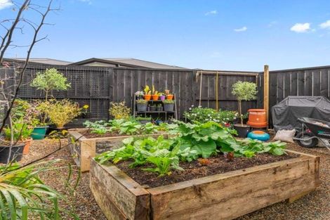 Photo of property in 22 Olney Court, One Tree Point, 0118
