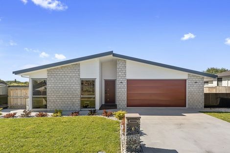 Photo of property in 6 Hoylake Place, Morrinsville, 3300