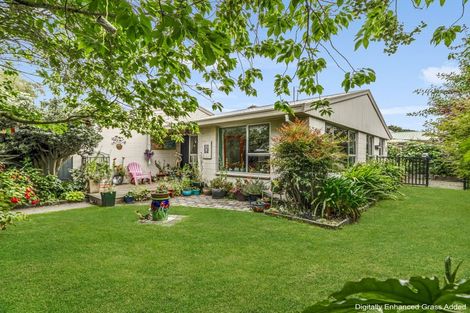 Photo of property in 5/17 Barrie Street, Addington, Christchurch, 8024