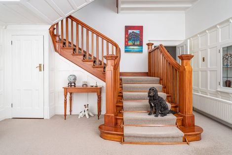 Photo of property in 15 Ings Avenue, Saint Clair, Dunedin, 9012