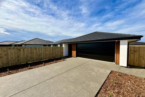 Photo of property in 10a Kildare Street, Belfast, Christchurch, 8051