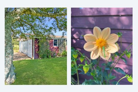 Photo of property in 673 Thornton Road, Thornton, Whakatane, 3194