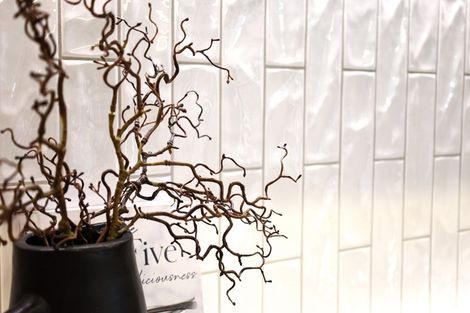 Photo of property in 6 Samuel Place, Terrace End, Palmerston North, 4410