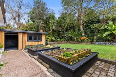 Photo of property in 33 Shetland Street, Glen Eden, Auckland, 0602