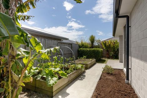 Photo of property in 22 Bill Miller Drive, Papamoa, 3118