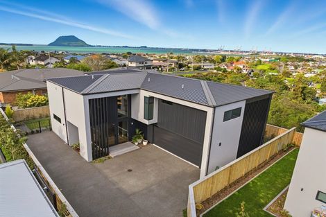 Photo of property in 58a Hinewa Road, Otumoetai, Tauranga, 3110