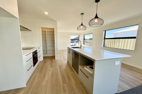 Photo of property in 17 Larch Drive, Rolleston, 7614