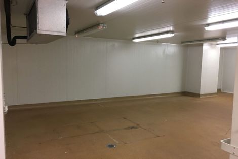Photo of property in The Lofts, 185u1 Victoria Street, Te Aro, Wellington, 6011