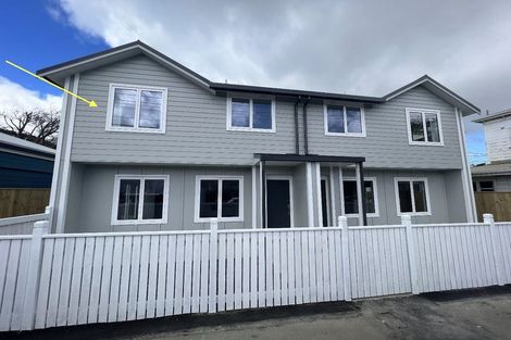 Photo of property in 101 Daniell Street, Newtown, Wellington, 6021