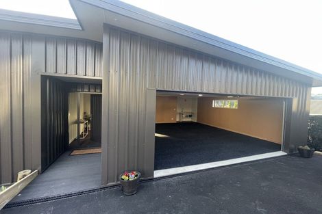 Photo of property in 9 Balfour Street, Mornington, Wellington, 6021