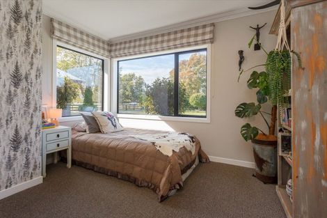 Photo of property in 299 Tower Road, Matamata, 3471