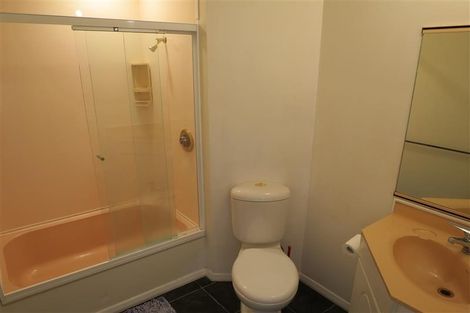 Photo of property in 53 Hankey Street, Mount Cook, Wellington, 6011