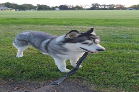 Photo of property in 9/15 Peterborough Street, Christchurch Central, Christchurch, 8013