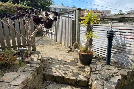Photo of property in 91 Farnham Street, Mornington, Wellington, 6021
