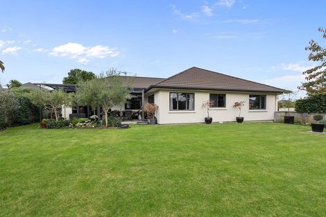 Photo of property in 11 Saffron Street, Cambridge, 3434