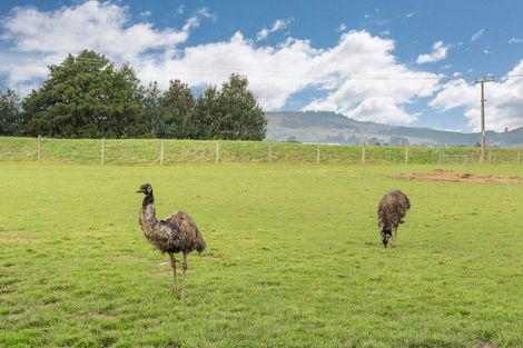 Photo of property in 22 Dukes Road North, Mosgiel, 9092