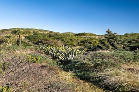 Photo of property in 23b Luke Street, Ocean Grove, Dunedin, 9013