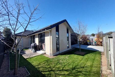 Photo of property in 256 Lyttelton Street, Spreydon, Christchurch, 8024