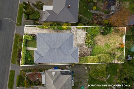 Photo of property in 141 Easther Crescent, Kew, Dunedin, 9012