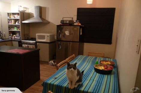 Photo of property in 271 Ohiro Road, Brooklyn, Wellington, 6021