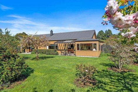 Photo of property in 48 Piripiri Road, Apiti, 4884
